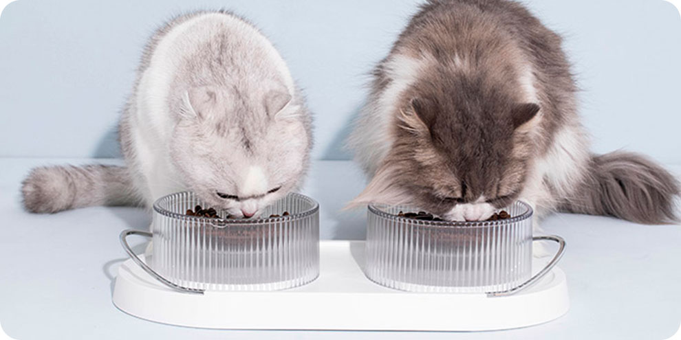Двойная миска для животных Furrytail Food Double Bowl